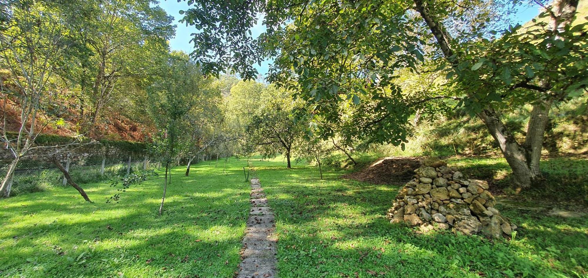 La Casona De La Vega Junto A Onís מראה חיצוני תמונה